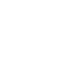 Leonard Cheshire logo