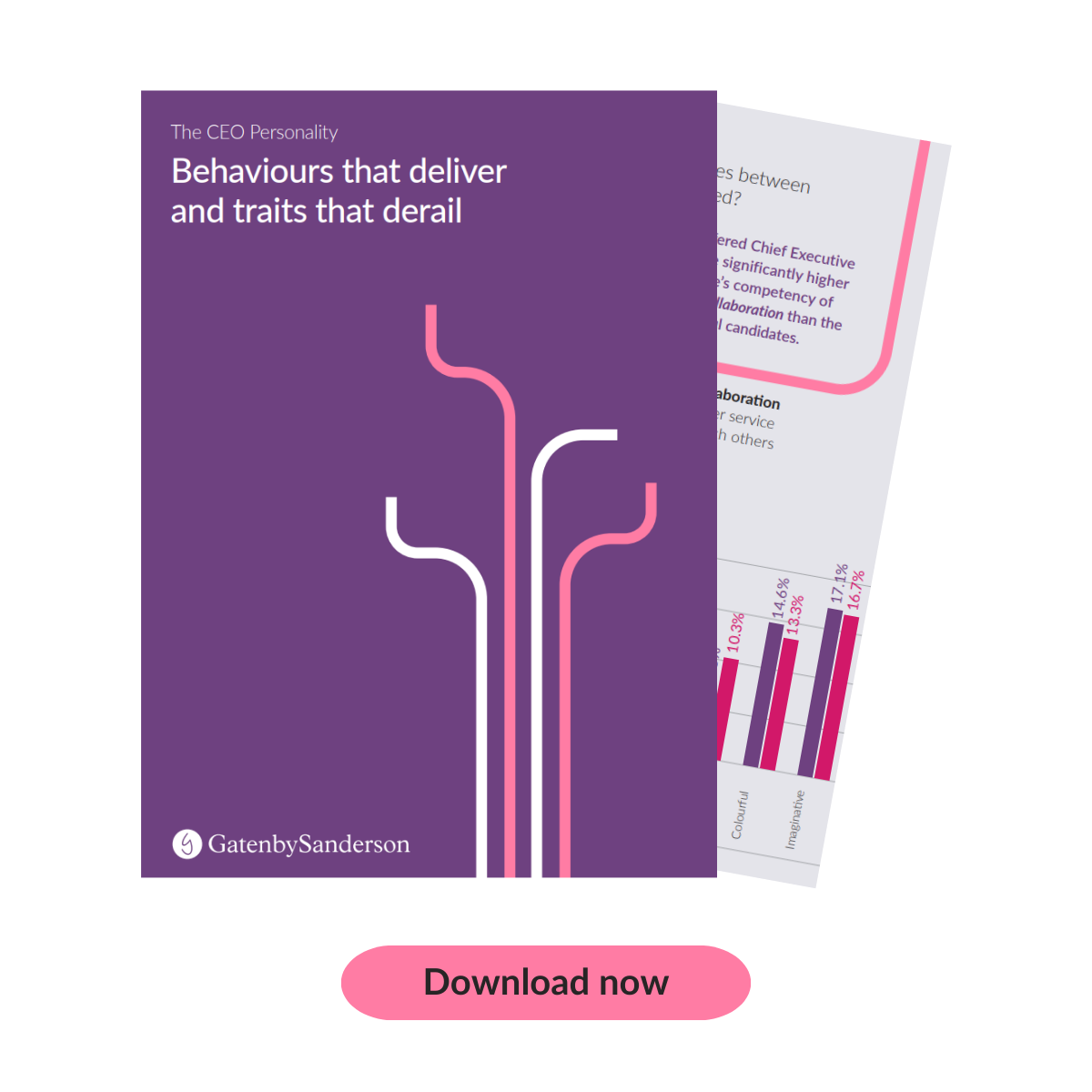 Download report CEO personality report front cover - GatenbySanderson 2024